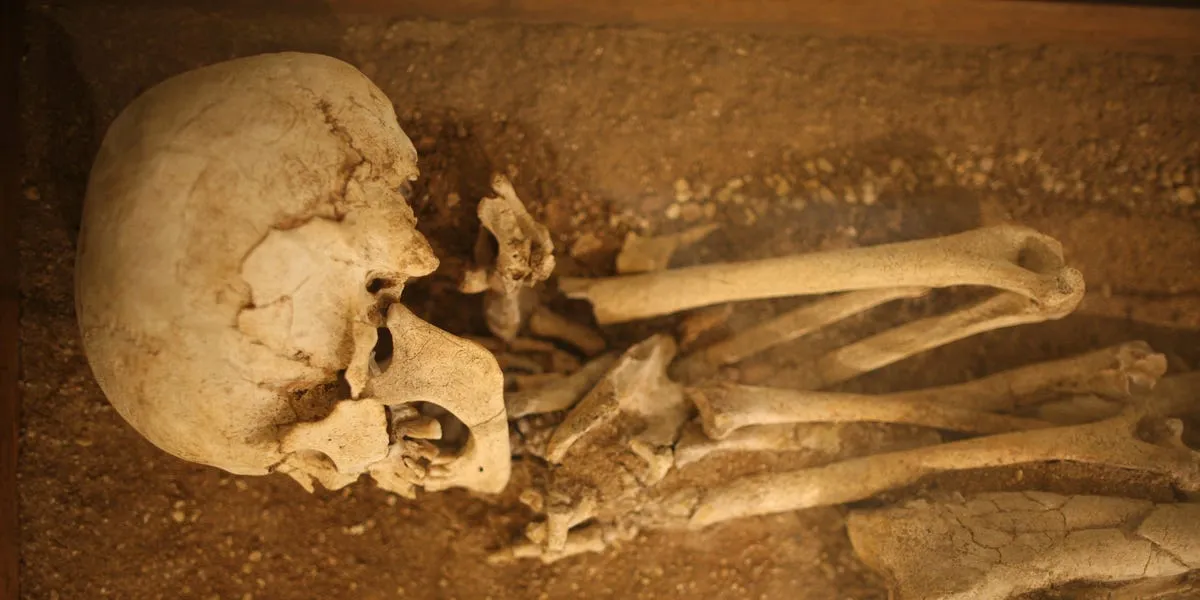 Archeologen vinden bijzondere grafvondsten bij Sizewell C in Suffolk